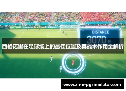 西格诺里在足球场上的最佳位置及其战术作用全解析